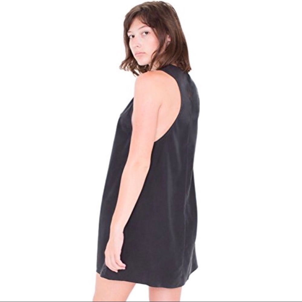 American Apparel Dakota dress
